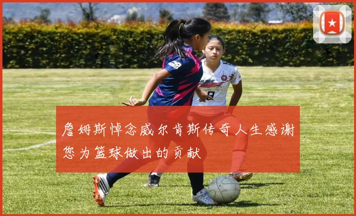 詹姆斯悼念威尔肯斯传奇人生感谢您为篮球做出的贡献