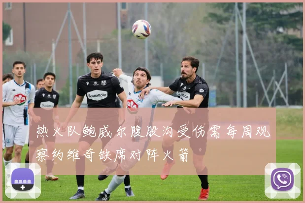 热火队鲍威尔腹股沟受伤需每周观察约维奇缺席对阵火箭