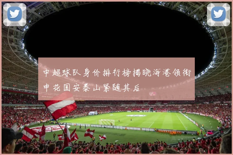 中超球队身价排行榜揭晓海港领衔申花国安泰山紧随其后