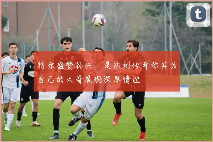 特尔盛赞孙兴慜是热刺传奇称其为自己的大哥展现深厚情谊
